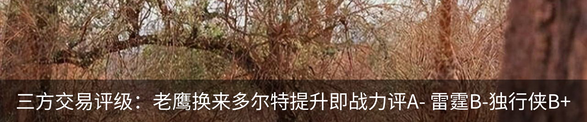 内页banner