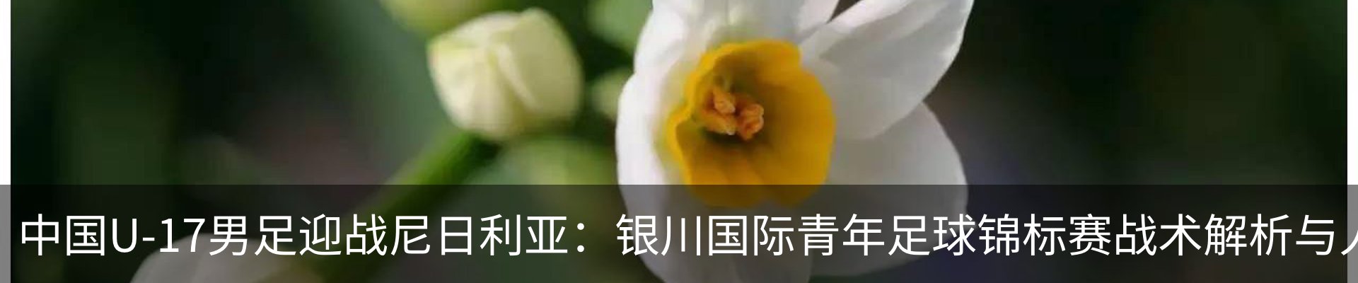 内页banner