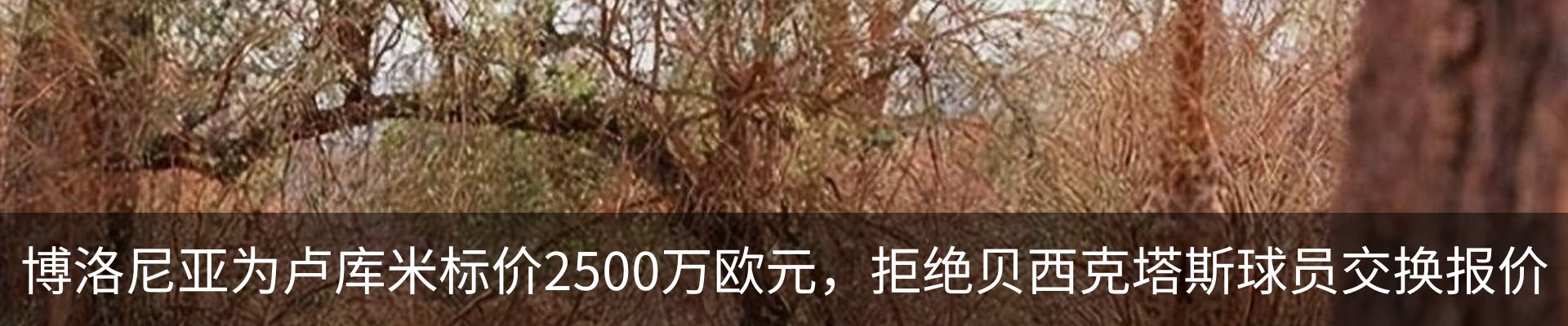 内页banner
