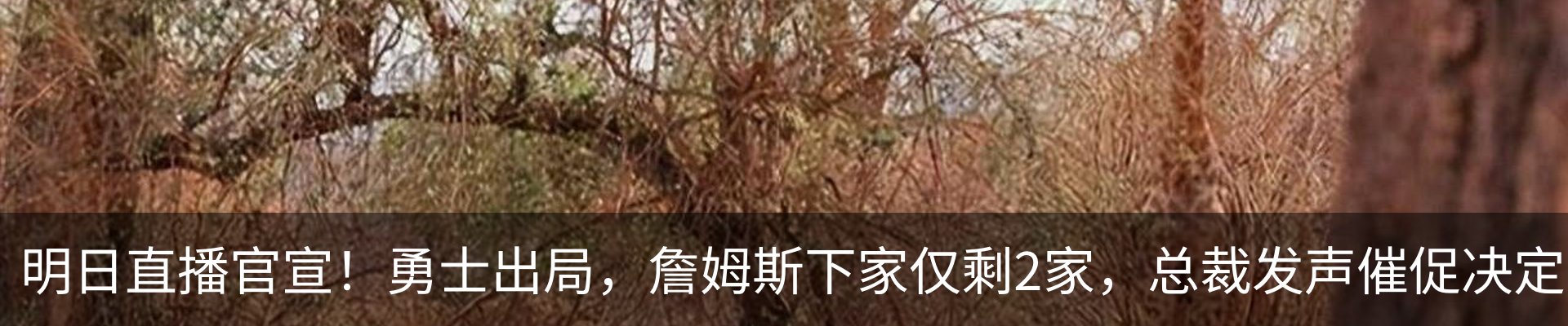 内页banner