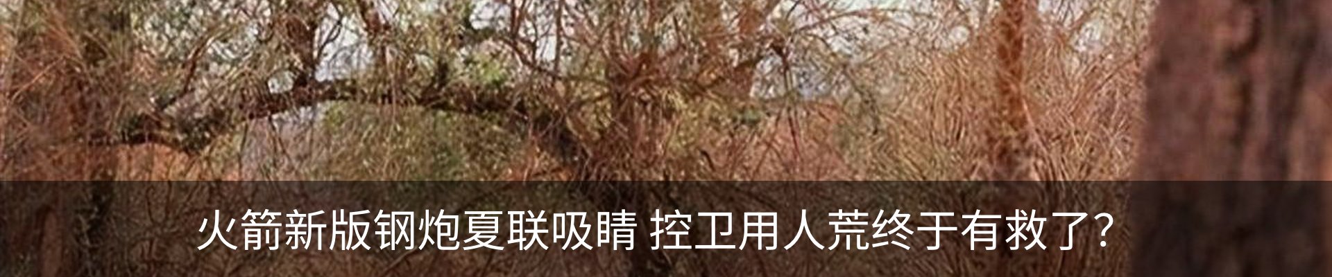 内页banner