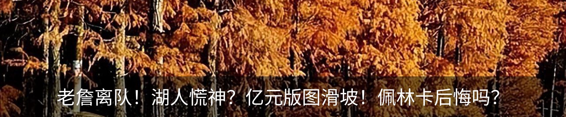 内页banner